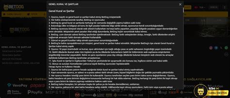 BETDOG CASİNO – Telegram.